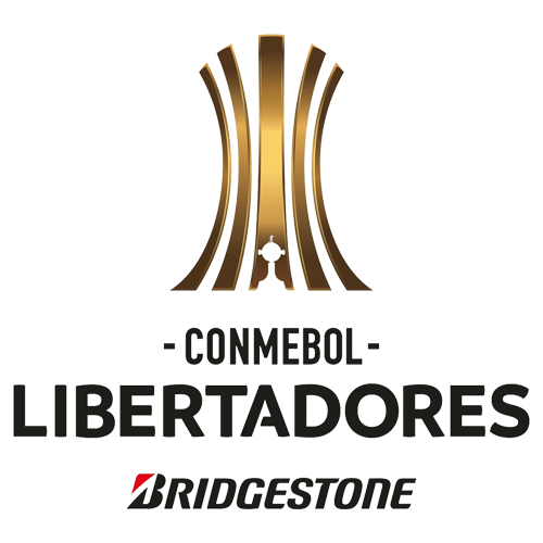 COPA LIBERTADORES DE AMERICA