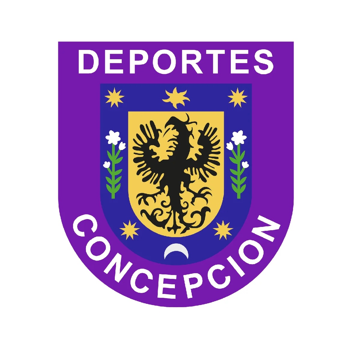 Deportes Concepción