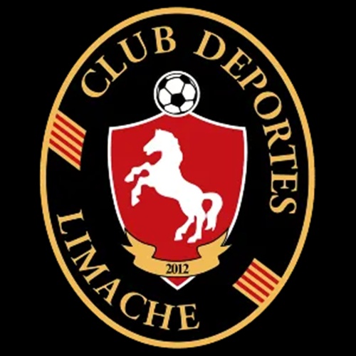 Deportes Limache